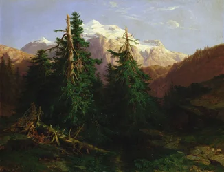 Glacier, Rosen Lanigletscher, 1854